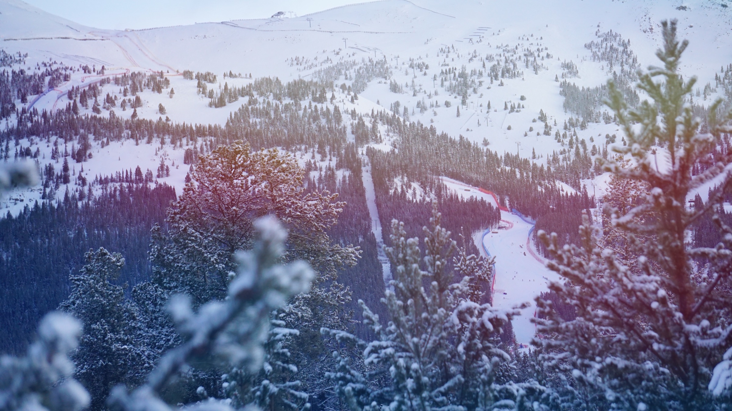 Snow-covered mountains above a forested ski slope